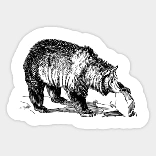 Grizzly Bear Sticker